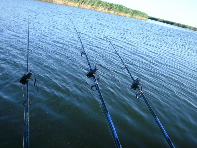 Delta iunie 2013 - gedc0277.JPG